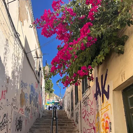 Com Escada E Pátio, Em Frente Apartamento *